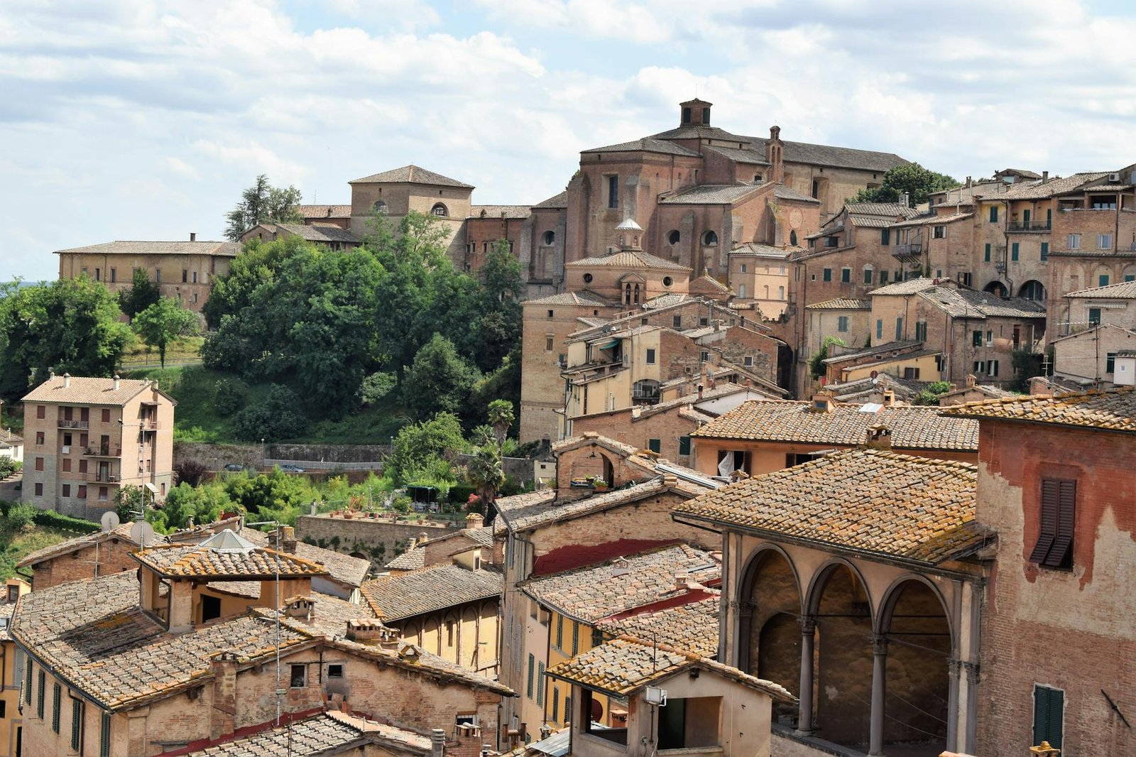 A picturesque view of Siena's historic buildings and lush greenery under a bright sky.