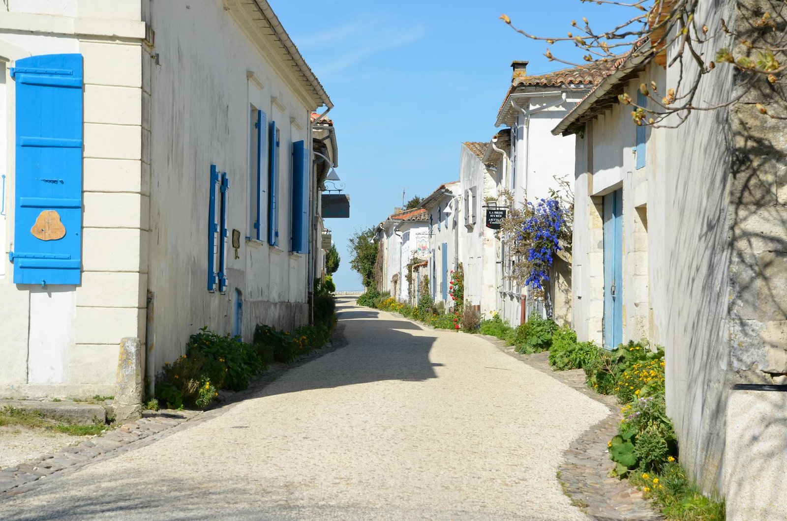 Idyllic narrow street with white houses and blue shutters in Talmont-sur-Gironde, France.