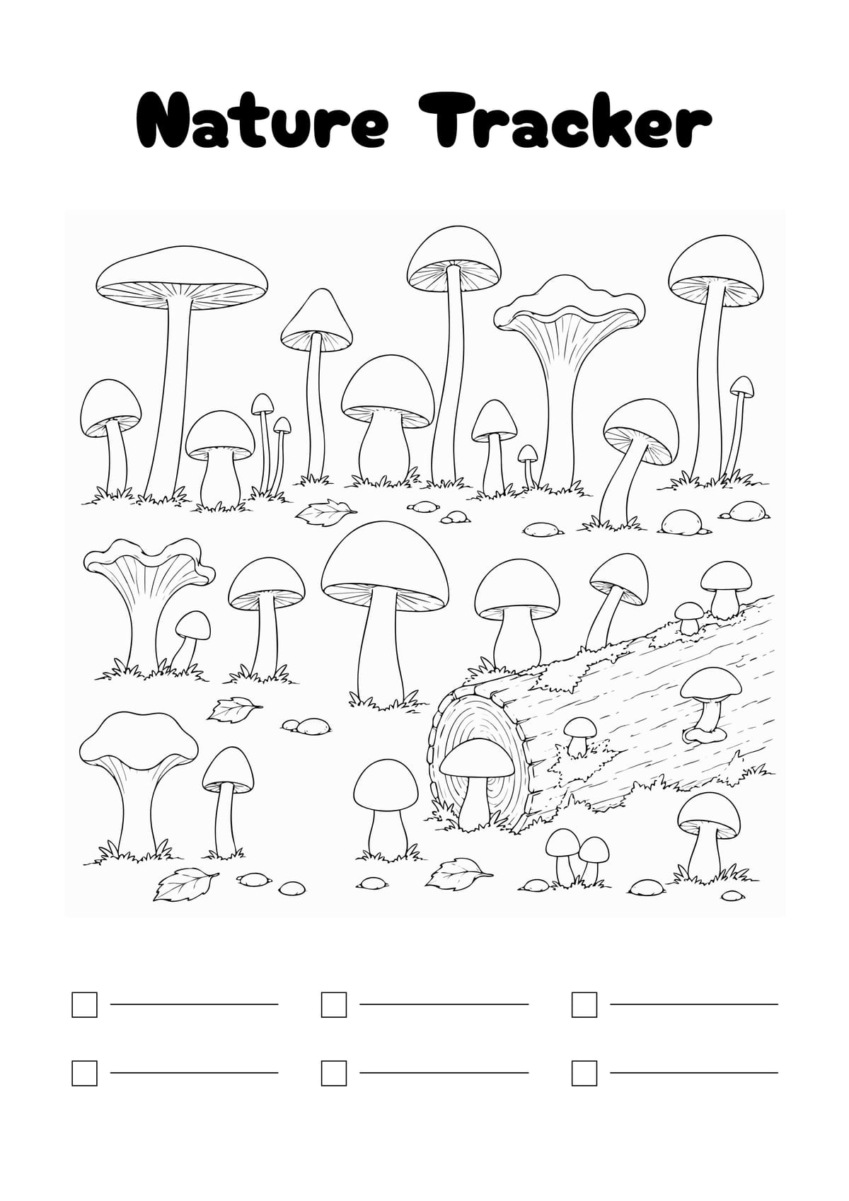 Wildlife Observation Log Layout